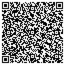 QR code with Profession Audio Systems contacts