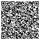 QR code with Carl The Handyman contacts