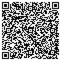 QR code with Kisn contacts