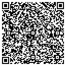 QR code with Blaho's Auto Service contacts