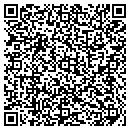 QR code with Professional Builders contacts