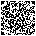 QR code with Cogo's contacts