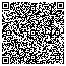 QR code with Pt Contracting contacts