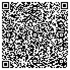 QR code with Brians Handyman Service contacts