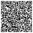QR code with Carver Financial contacts