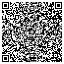 QR code with Ps Classics Inc contacts