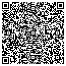 QR code with Pyramid Sound contacts