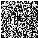 QR code with Pyramid Sound Inc contacts