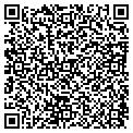 QR code with Wdtf contacts