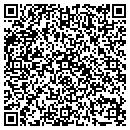 QR code with Pulse Link Inc contacts