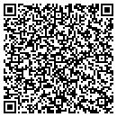QR code with Pyramid Builders contacts