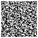 QR code with Professional Geeks contacts