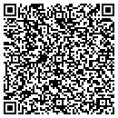 QR code with Crystal View Technology contacts