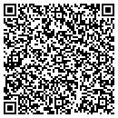 QR code with Cyber's Place contacts