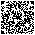 QR code with Digital Medics contacts