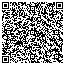 QR code with Public Storage contacts