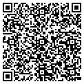 QR code with V Zone contacts