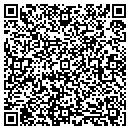 QR code with Proto Pipe contacts