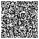 QR code with Public Utilities Co contacts