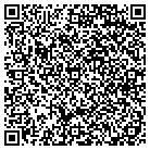 QR code with Public Domain Aeronautical contacts