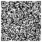 QR code with Brians Handyman Service contacts