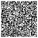 QR code with Princeton Information contacts