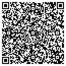 QR code with Pv Coins & Pawn contacts