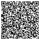 QR code with Cpe It Solutions Inc contacts