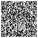QR code with Cyber Neering World contacts