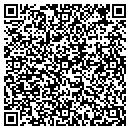 QR code with Terry S Handyman Plus contacts