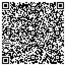 QR code with Banister Pool Service contacts