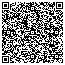 QR code with Carrier Consultants contacts
