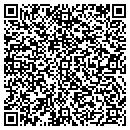 QR code with Caitlin M Johnston DC contacts