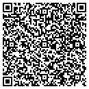 QR code with Borrell Ranches contacts