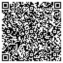 QR code with Blue Leaf Networks contacts