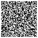 QR code with Pro Pool Inc contacts