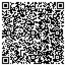 QR code with C W Installation LLC contacts