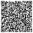 QR code with Price 2 Sell contacts