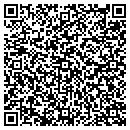 QR code with Professional Scapes contacts