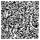 QR code with Spring Valley Landscape contacts