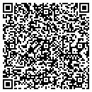 QR code with Chapin contacts