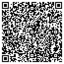 QR code with Borealis Design contacts