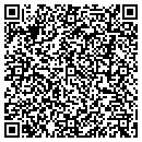 QR code with Precision Auto contacts