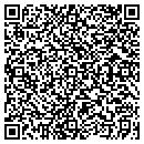 QR code with Precision Performance contacts