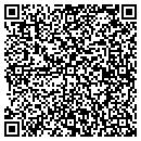 QR code with Clb Land Scapes LLC contacts