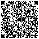 QR code with Blue Haven Pools & Spas contacts