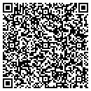 QR code with C F I Construction Co contacts