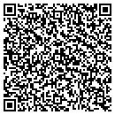 QR code with Public Storage contacts