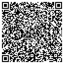 QR code with Blue Star Pools Ltd contacts