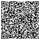 QR code with Cellular Connection contacts